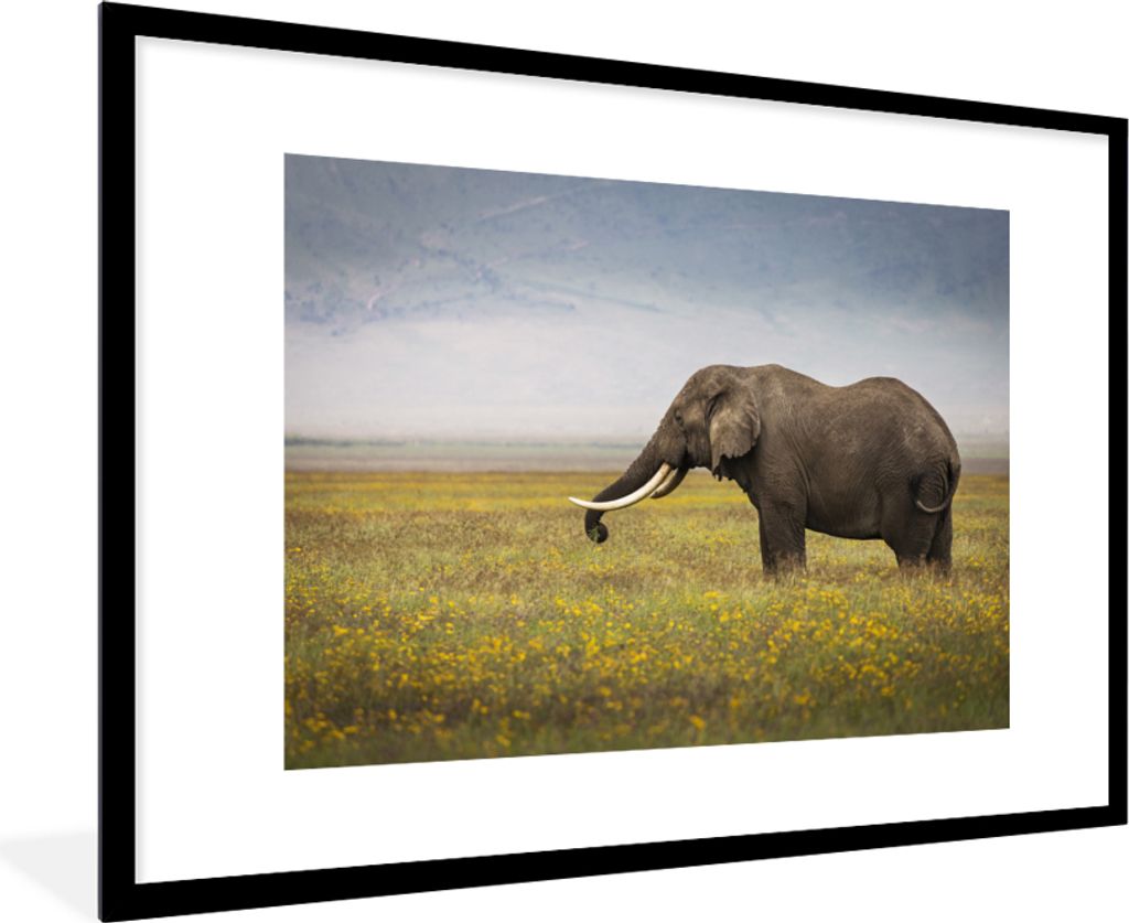 MuchoWow MuchoWow Gerahmtes Poster Elefant - Tiere - Blumen - Gras - Natur 90x60 cm - Poster mit zchwarzem Bilderrahmen - Wanddekoration - Fotos