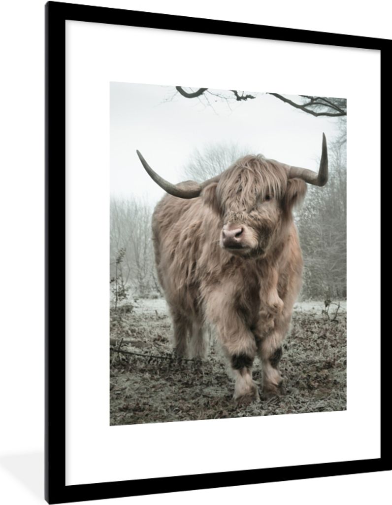 MuchoWow Gerahmtes Poster Schottischer Highlander - Wald - Nebel - Kuh - Tiere - Natur 60x80 cm - Poster mit Schwarzem Bilderrahmen Wandposter Ra...