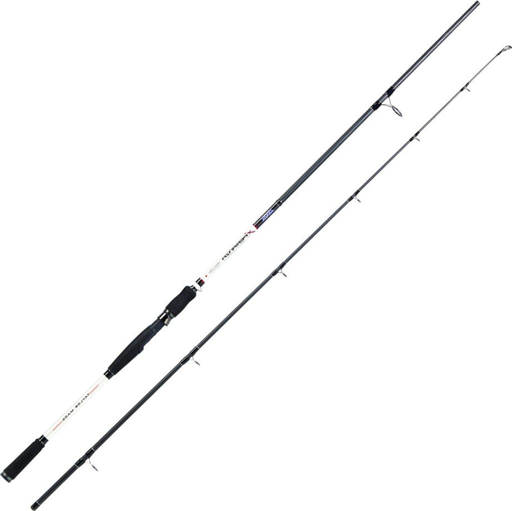 Jenzi Xperanza Spinnrute 2,95m 30-90g Hecht