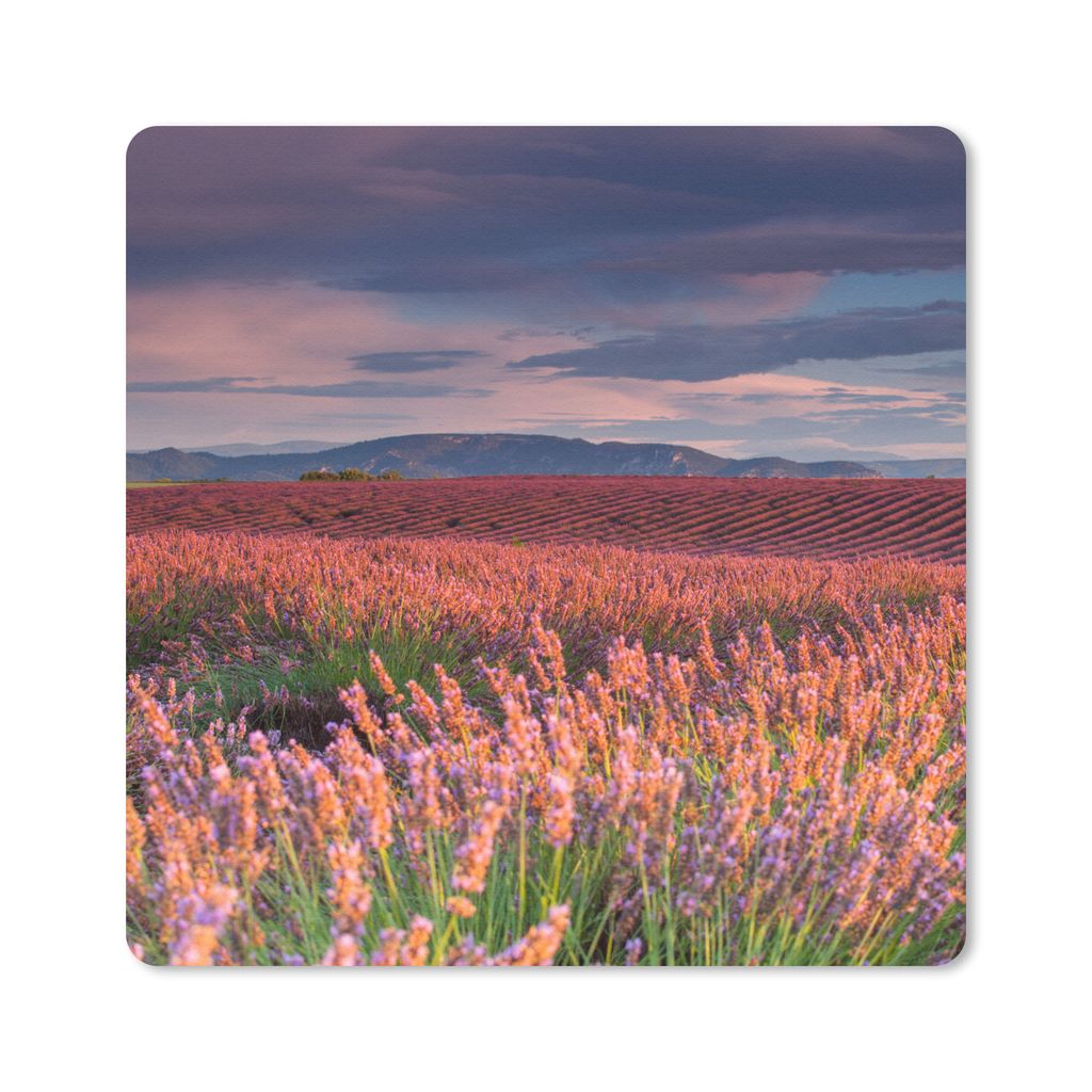 MuchoWow Mauspad Mousepad Lavendelfeld bei einem ruhigen Sonnenuntergang 20x20 cm - Mousepads - Maus Mat - Pad - Mausunterlage - Desk Mat - Burea...