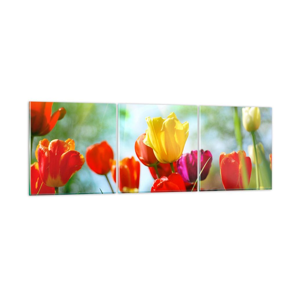 Bilder auf glas - Tulpe Blume Plantage Wiese - 120x40cm - Glasbilder - Wandbilder - Kunstdruck - zum Aufhängen bereit - Wanddekoration aus Glas - ...