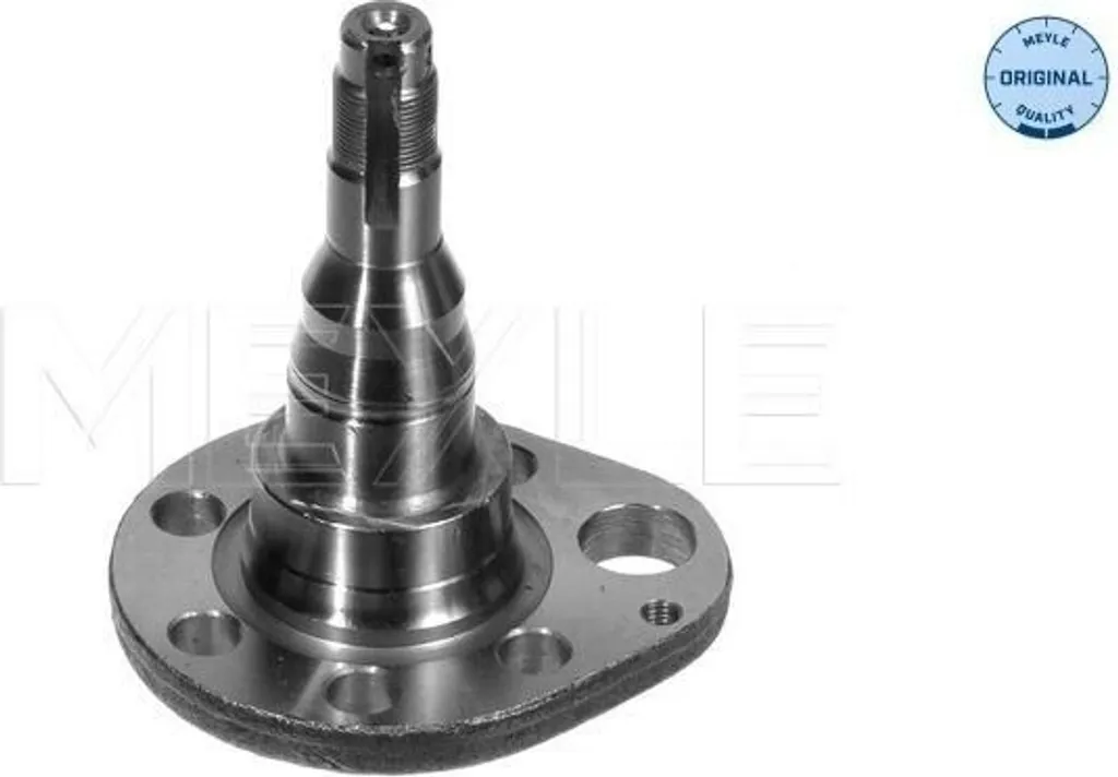 MEYLE 100 501 0037 Fusée d'Essieu Arrière pour VW Golf III et Polo 6N