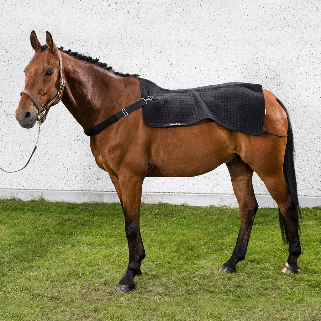 Chauffe-dos pour Cheval avec Technologie Welltex - Modèle Royal Noir 80cm
