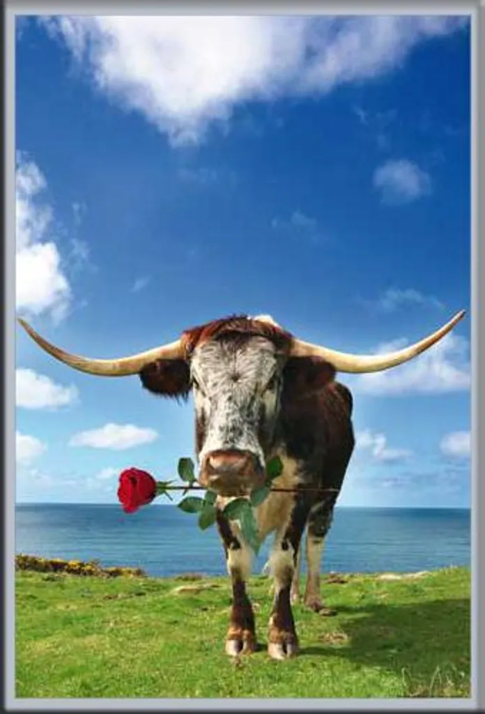 Maxi Poster Mucche Longhorn con Cornice Shinsuke MDF Argento