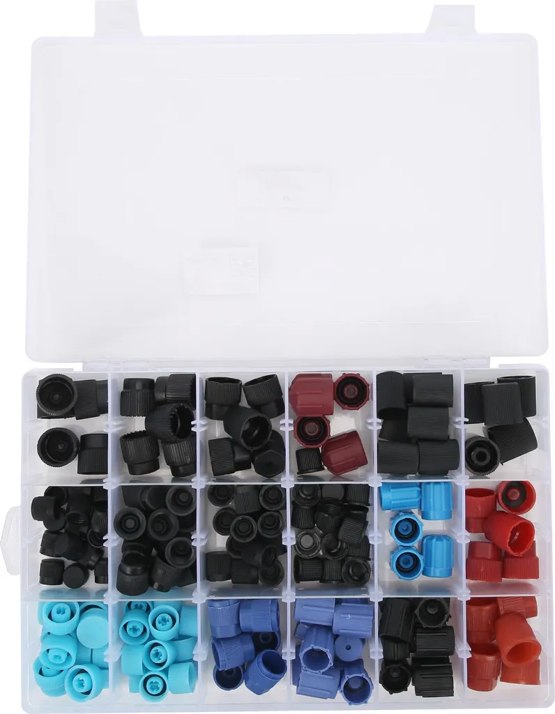 Set 170 Tappi Valvola AC Auto Professionali - Kit Ricambi Universali R134a - 2