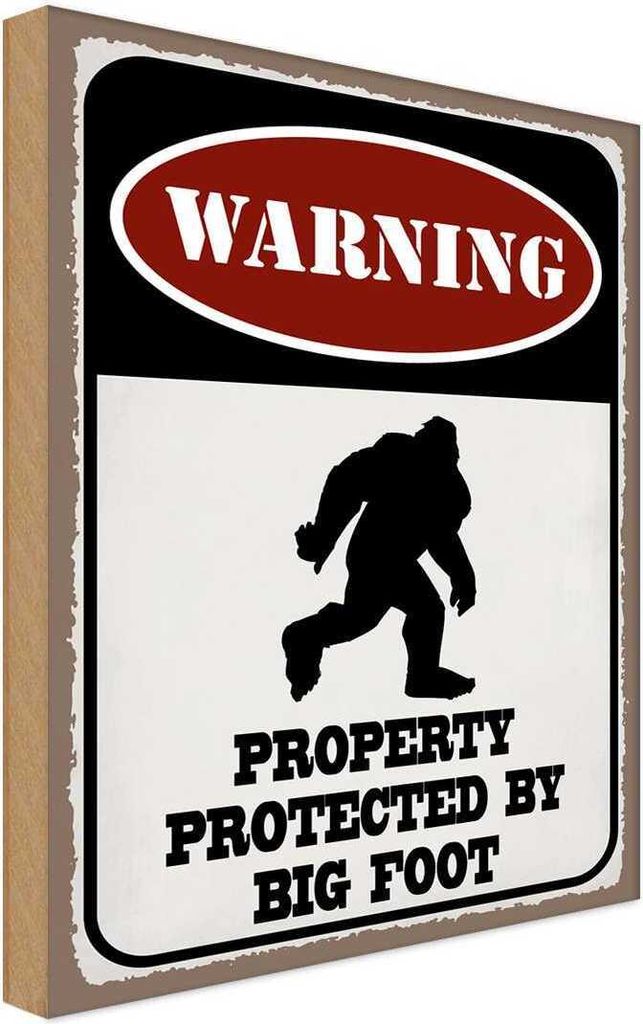vianmo Holzschild 40x30 cm Warning property protected by Produktbild 