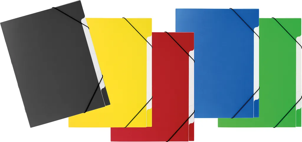 PAGNA 41811-00 Cartelline Colorate per Documenti Scuola e Casa