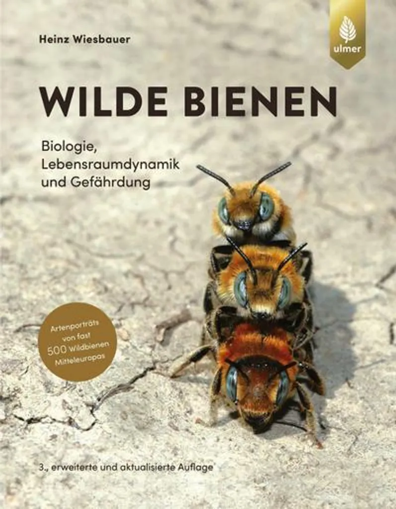 Nichoir pour Abeilles Solitaires Wilde Bienen en Bois de Pin Durable