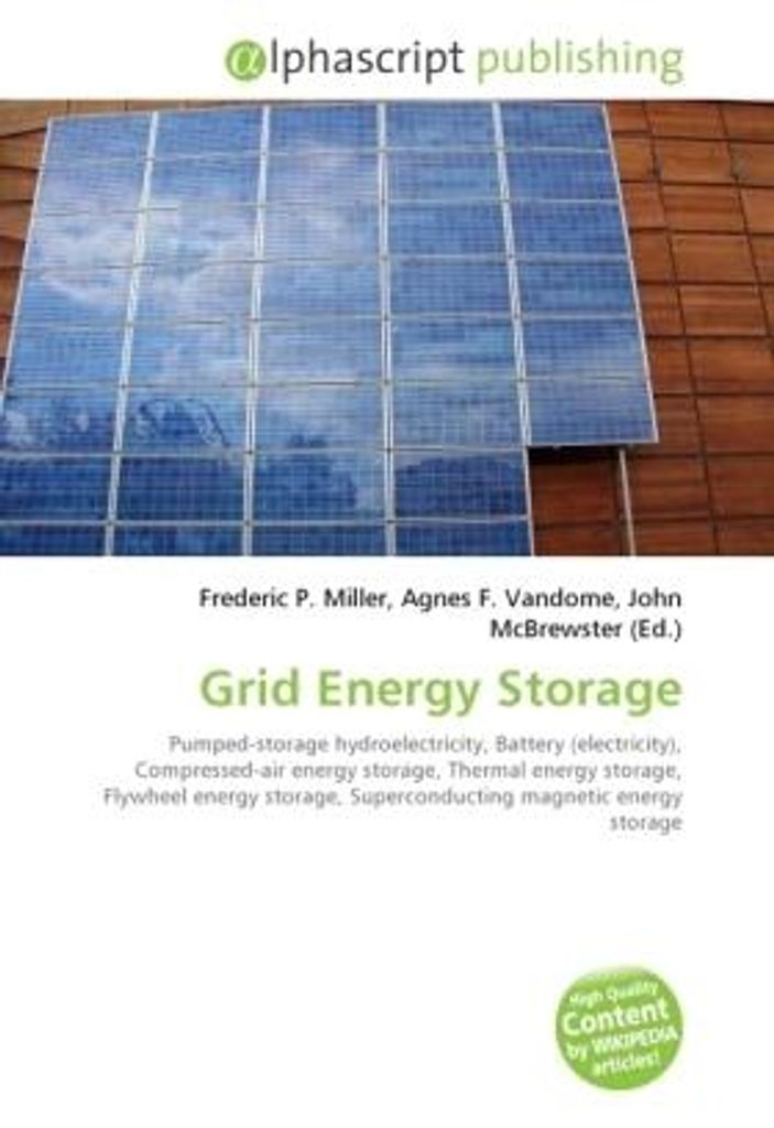 Grid Energy Storage
