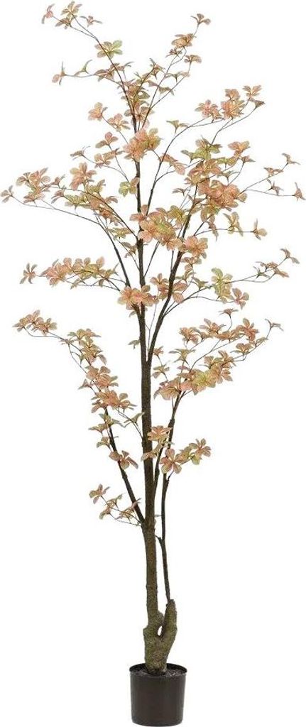 Emerald Künstlicher Trapaeolum Baum - Nils | 185 cm, für drinnen, Kunstbaum, wie echt, Allergiker geeignet, pflanzliche Dekoration Praxis, Office...