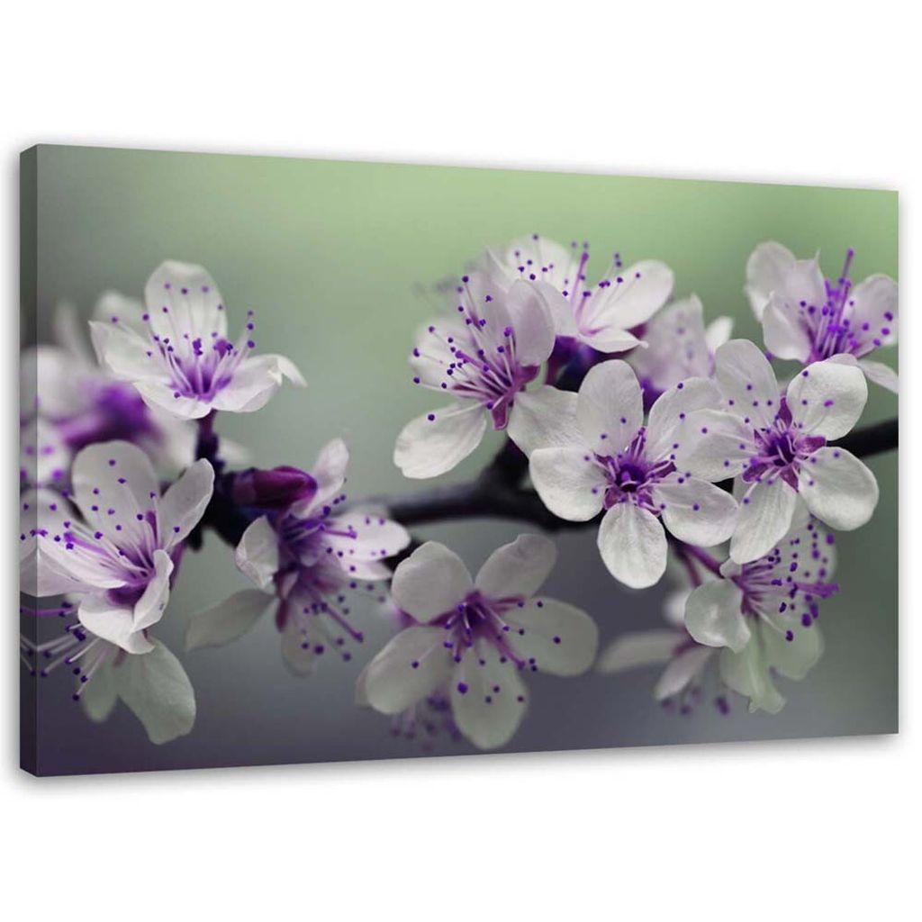Leinwandbild blumen auf einem baum 120x80 cm Feeby lila Produktbild 