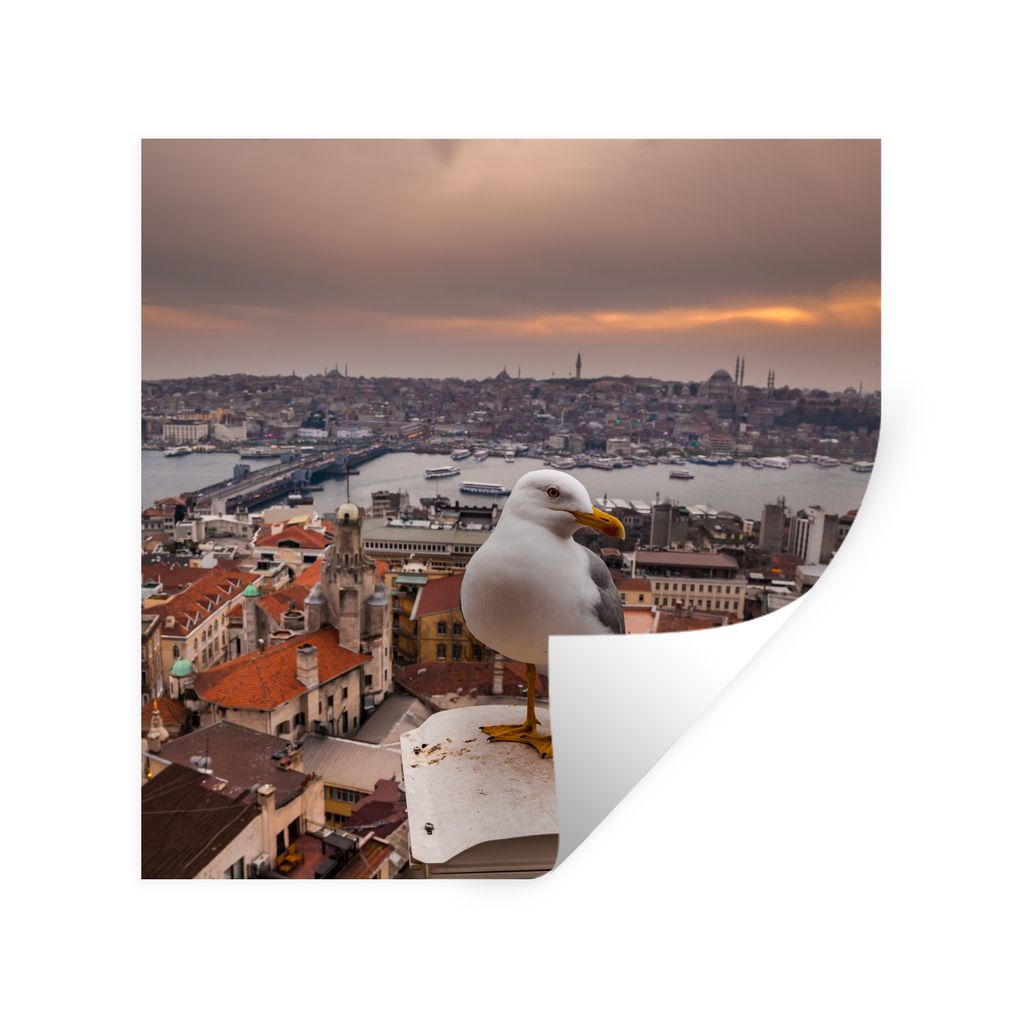 MuchoWow Wandtattoo Wandsticker Wandaufkleber Seemöwe - Istanbul - Architektur 80x80 cm Selbstklebend und Repositionierbar - Wierderverwendbar -...