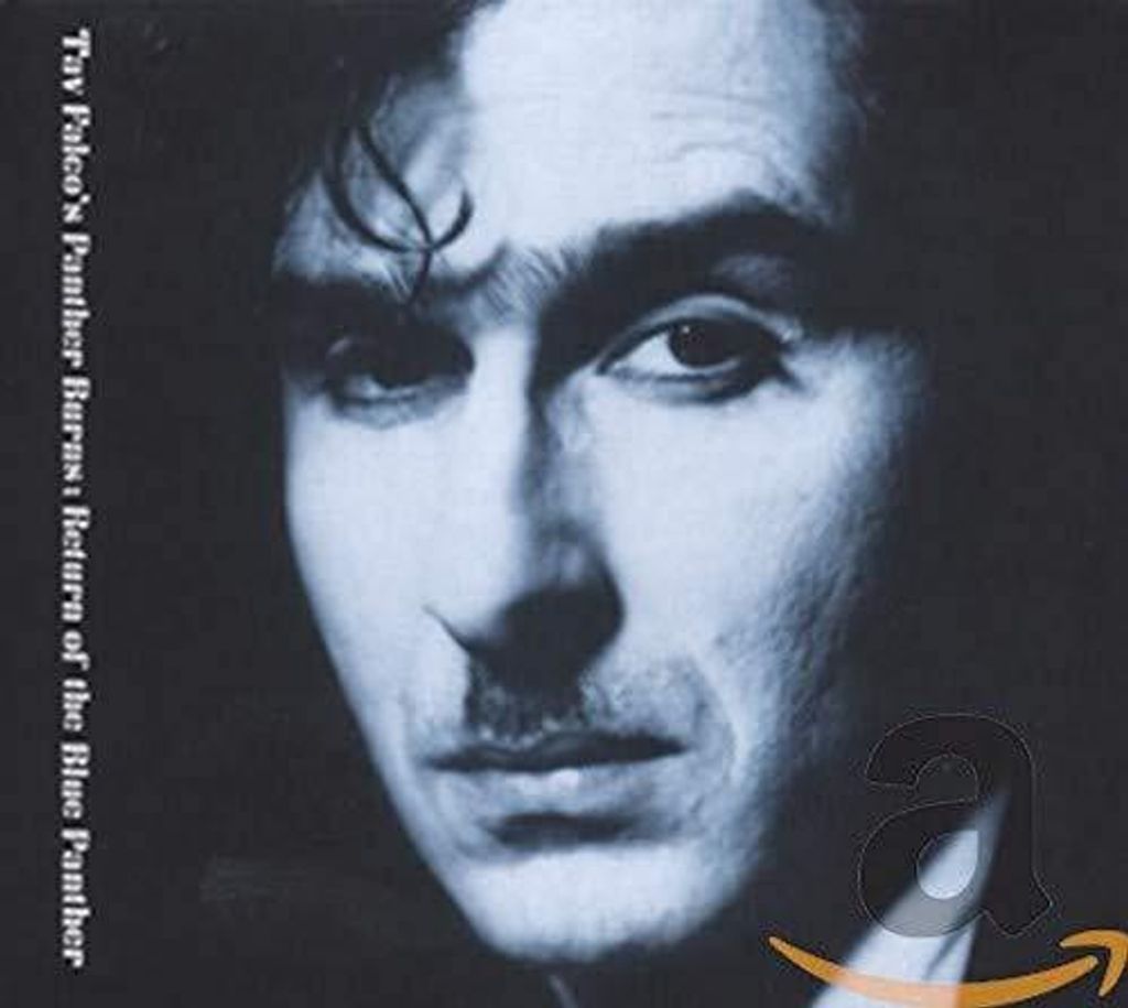 Tav Falco und Panther Burns - Rückkehr des Blauen Panthers & M CD