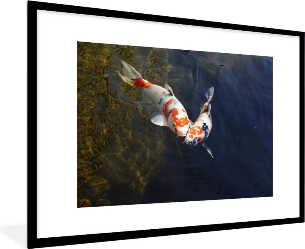MuchoWow Gerahmtes Poster Zwei Koi-Karpfen im Wasser 90x60 cm - Poster mit Schwarzem Bilderrahmen Wandposter Rahmen Foto Bilder - Wanddekoration ...