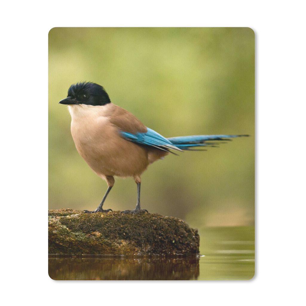 MuchoWow Mauspad Mousepad Elster - Vogel - Moos 30x40 cm - Mousepads - Maus Mat - Pad - Mausunterlage - Mausmatten