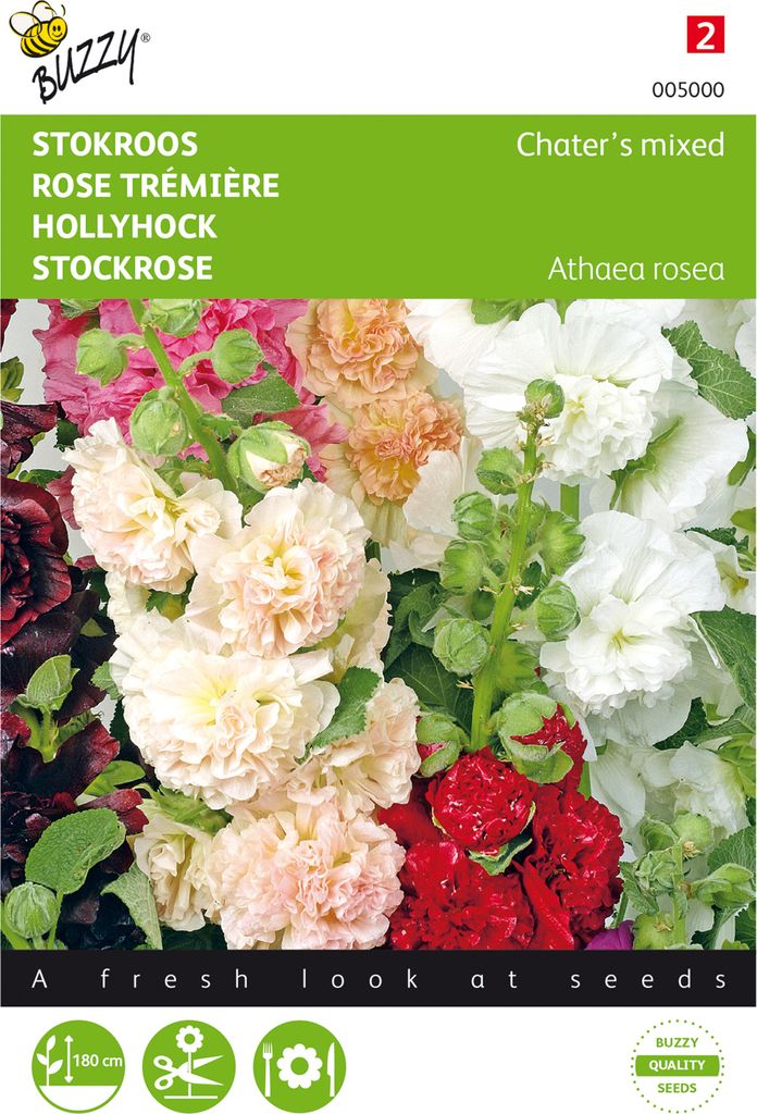 Stockrose Chater’s Gefüllte Mischung | Stockrosensamen von Buzzy Seeds