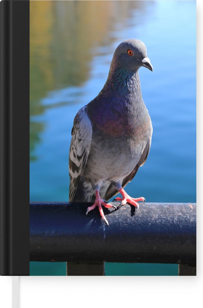 MuchoWow Notizbuch Tagebuch Haushaltsbuch Notebook A5 Eine schöne Taube an einem schönen Fluss - Notizblock - Notizheft - Notebook - Schreibblo...