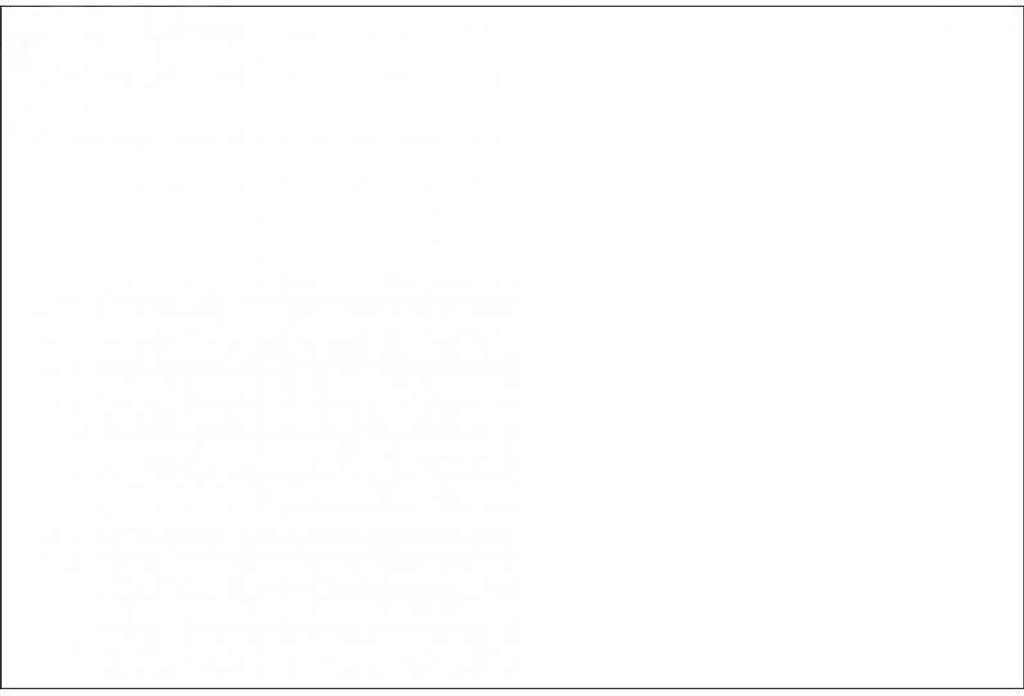 A completely white image with a thin grey border.
