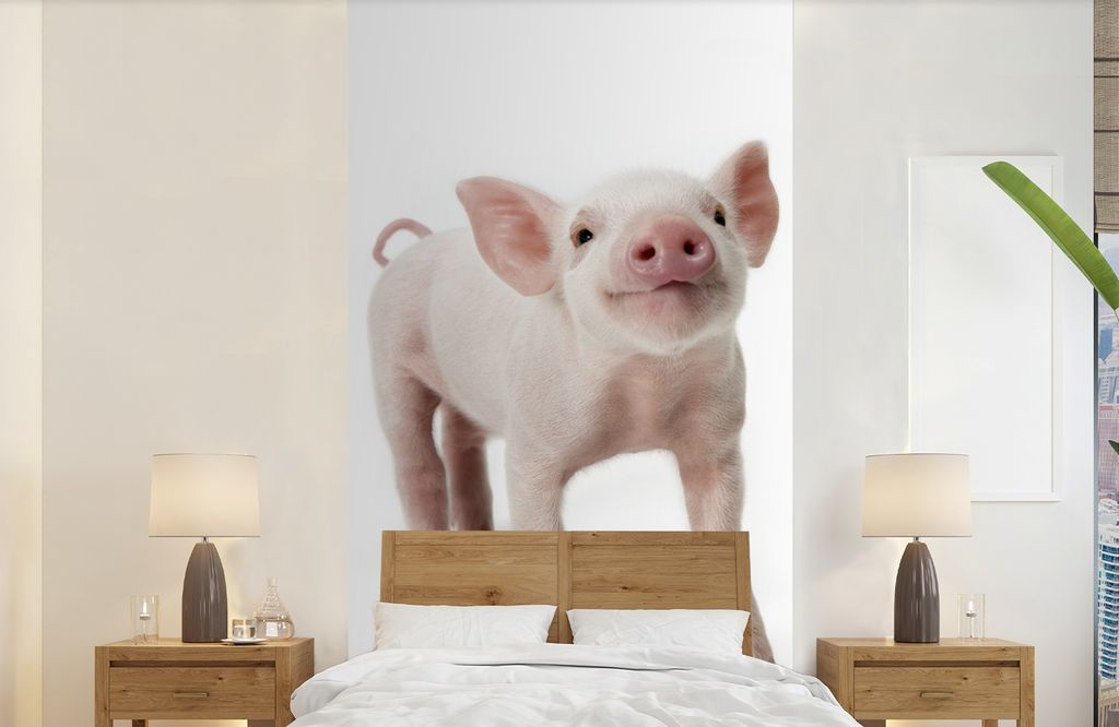 MuchoWow Fototapete für Wohnzimmer oder Schlafzimmer Wandtapete Vinyl Motivtapete Schwein - Tiere - Weiß - 120x240 cm - Hintergrundbild