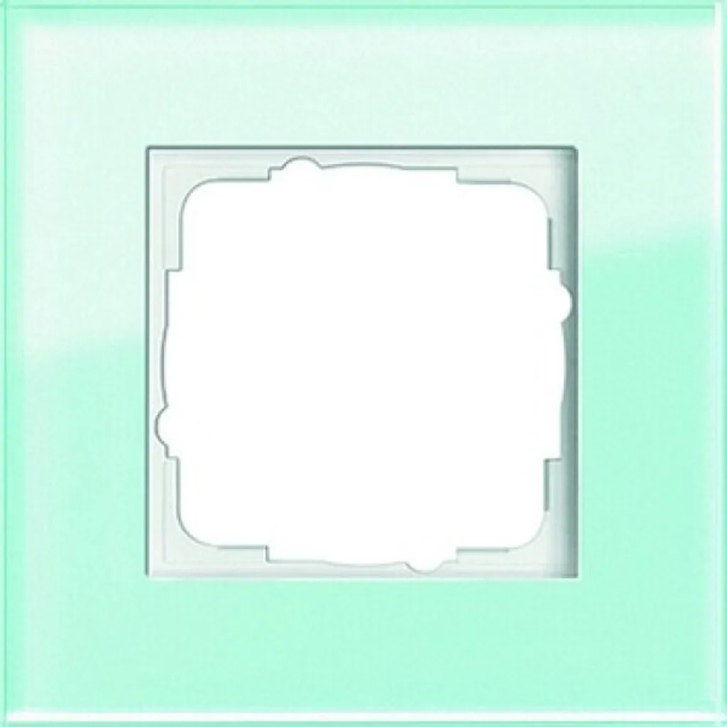 Cadre GIRA Esprit 021118 Mint Standard 55 et System 55 simple 1 poste