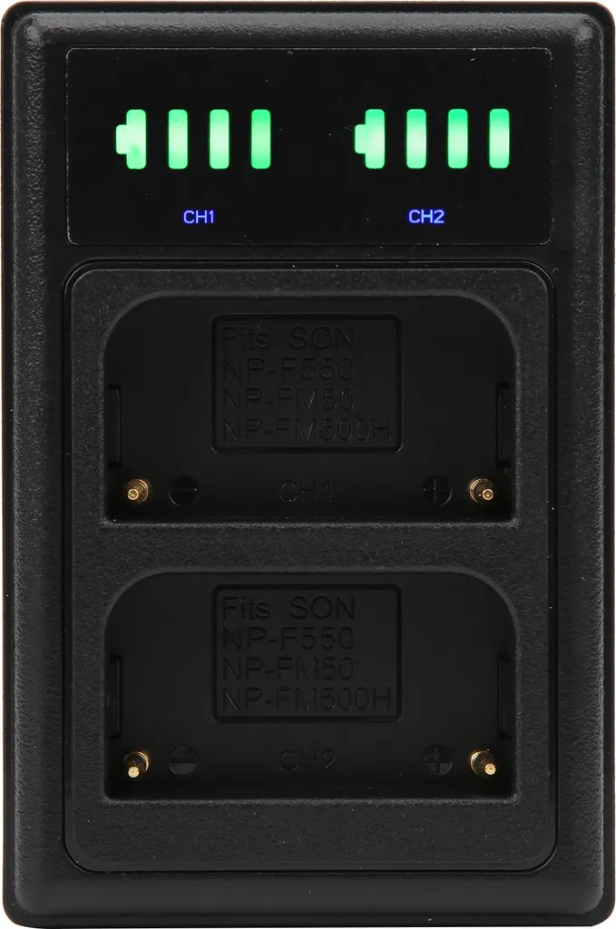 Stock Caricabatterie Doppio Sony NP-F550 FM500H LCD - Fornitura Pro