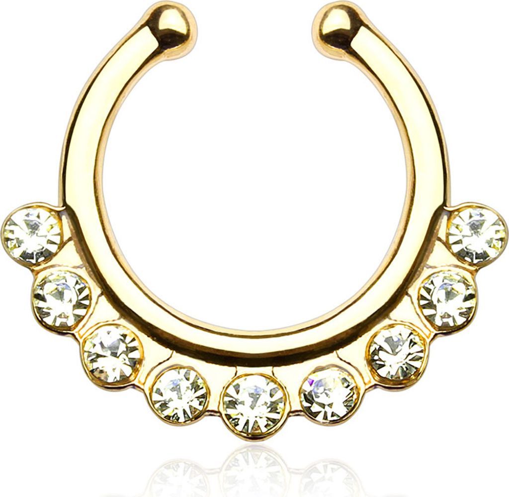 Nasenpiercing Nasenring Fake Piercing Septum Helix Kugeln Produktbild 