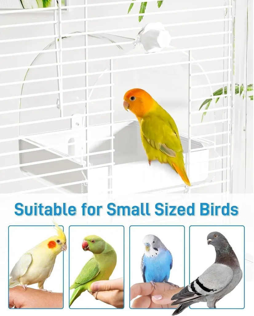 Bol de bain oiseaux multifonctions 3 en 1 - Modèle robuste et stable - 6