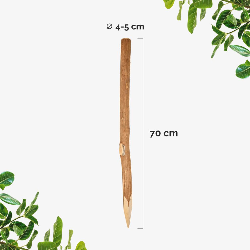 Garronda Haselnuss Zaunpfosten 70 cm – rund angespitzte Holzpfähle für Staketenzaun, Holzzaun, Gartenzaun oder Bauernzaun – robuste Holzpflö...