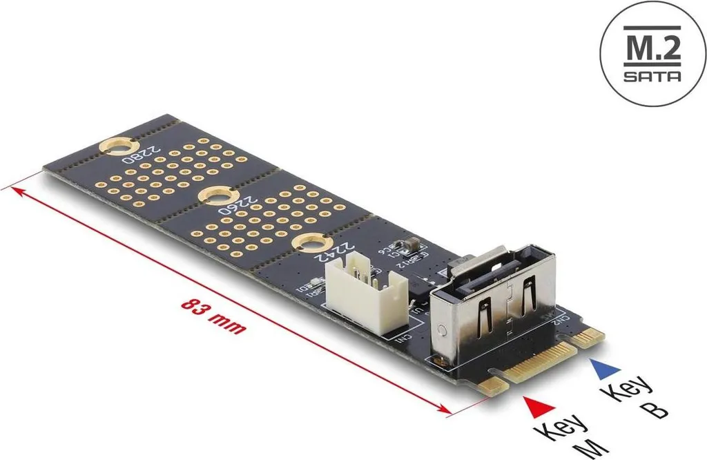 Offerta Adattatore Delock M.2 a SATA - Connessione Verticale 7 Pin
