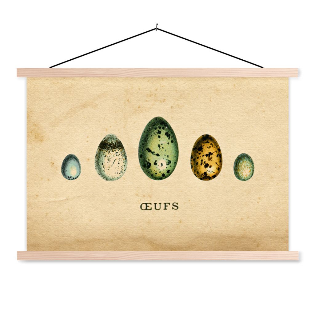 MuchoWow Textilposter Eier - Tiere - Design 60x40 cm mit holzfarbenen Rahmen - Bilder