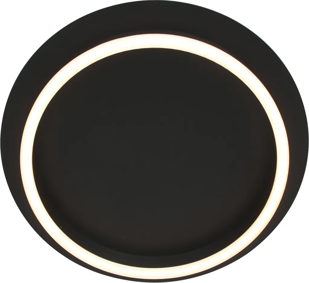 Plafonnier LED métal noir Ringlux Ø 32cm : Éclairage design et durable