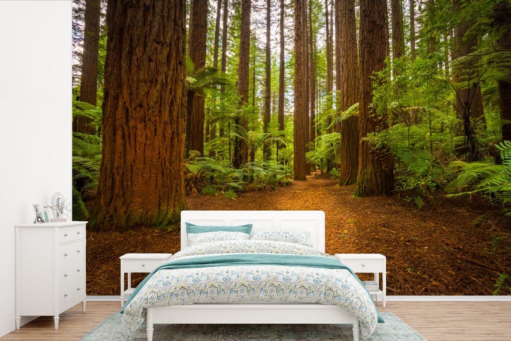MuchoWow Fototapete für Wohnzimmer oder Schlafzimmer Wandtapete Vinyl Motivtapete Bild eines Waldes mit Mammutbäumen - 360x240 cm - Vinyl-Tapete