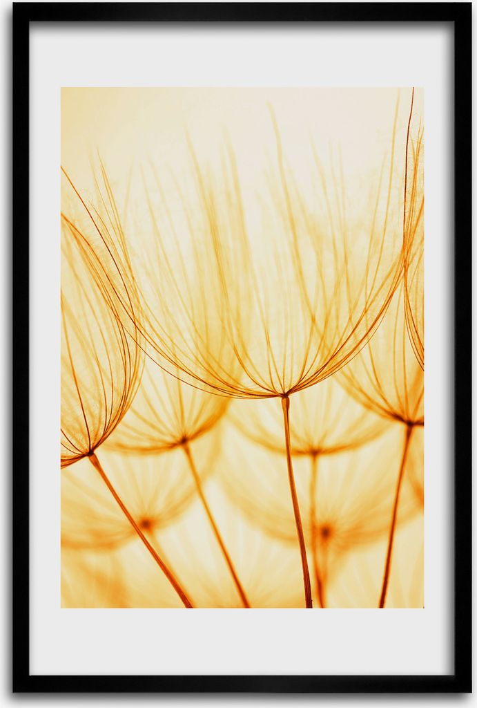 Bild - Bilderrahmen - 40 cm x 60 cm - MDF - Rahmen - Wandkunst - Löwenzahnsamen
