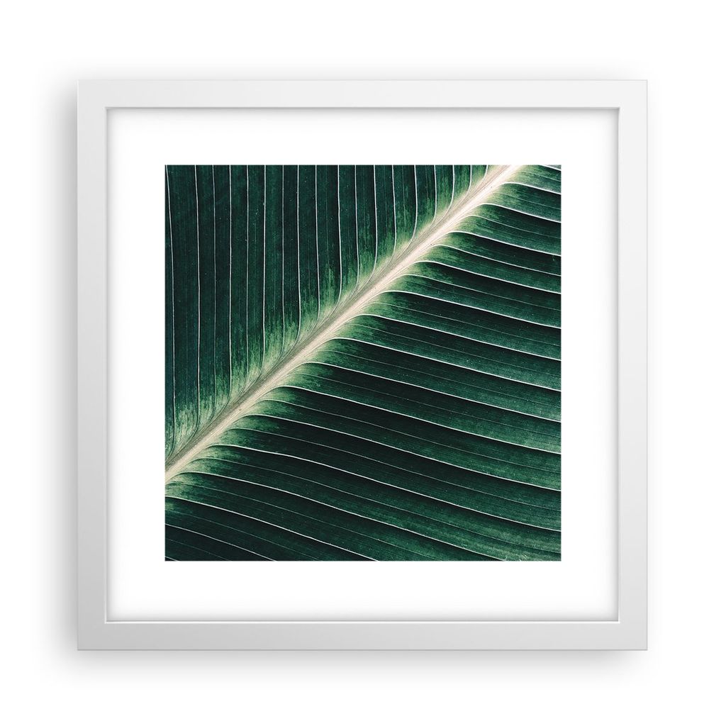 Gerahmtes Poster - Weißer Rahmen - Grün Blatt Tropisch - 30x30 cm - Wand Bild - Wanddeko - Wandbilder - Kunstposter - Wandposter - Bilderrahmen -...