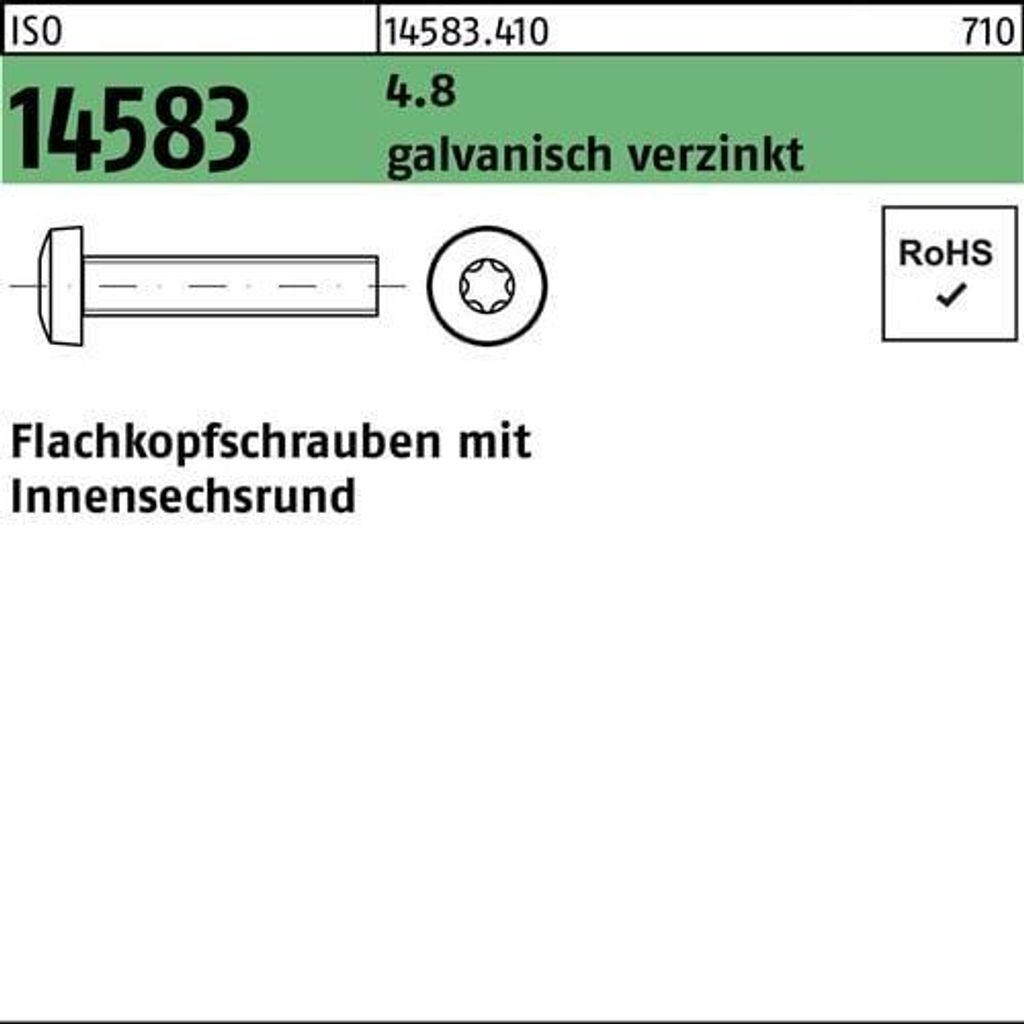 Reyher Flachkopfschrauben ISO 14583 4.8 M 3x30 -T vz (200 Stück)