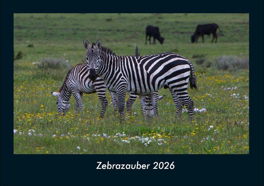 Zebrazauber 2026 Fotokalender - Querformat DIN A4, Monatskalender mit Bild-Motiven von Haustieren, Bauernhof, wilden Tieren und Raubtieren