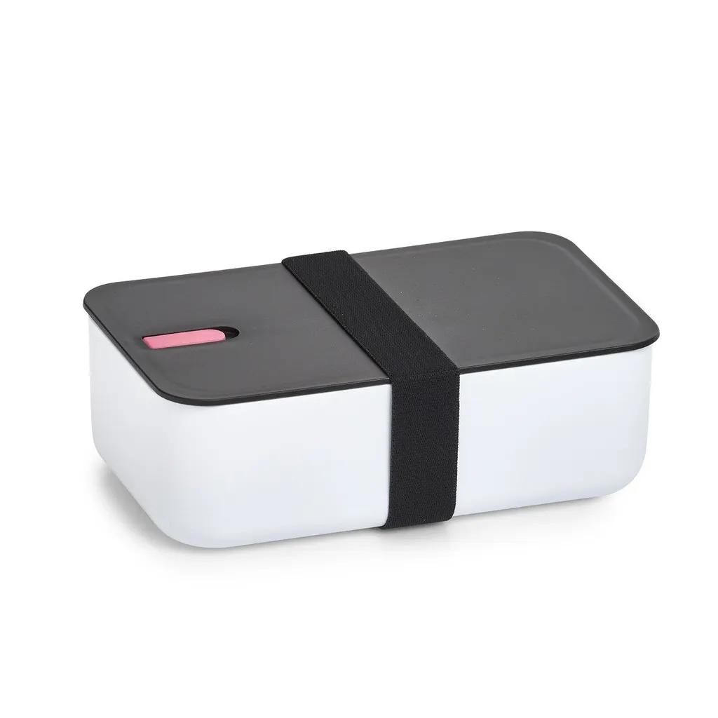 Recensione Zeller Lunch Box con Divisorio - Dimensioni 19x12x6,5 cm