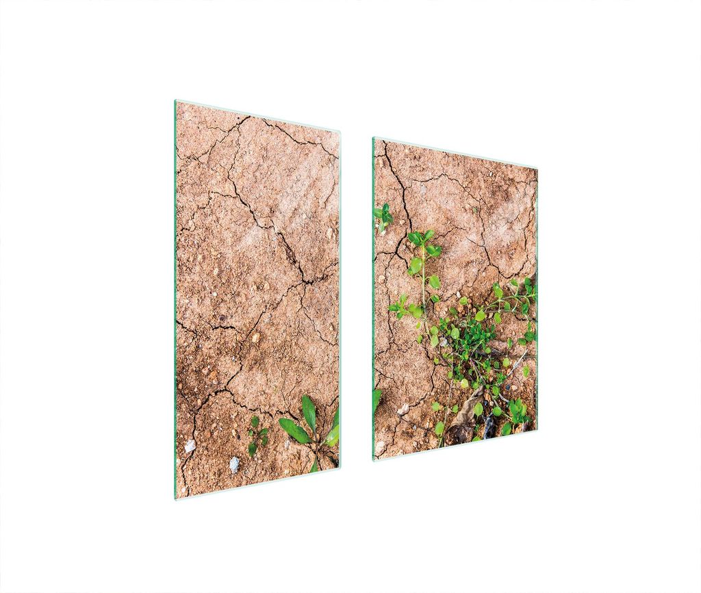 Glasschutzplatte 75x52 Pflanzen