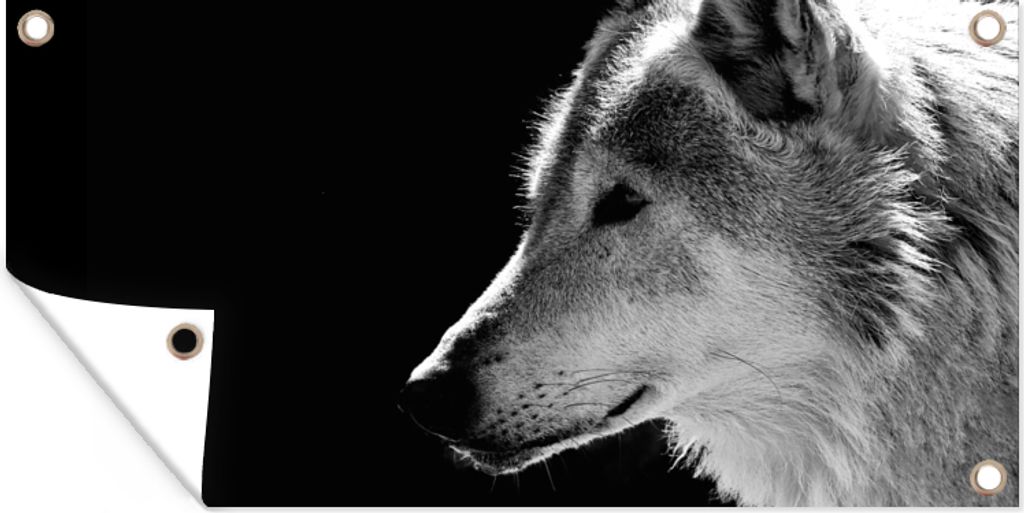 MuchoWow 80x40 cm Outdoor-Poster Gartendeko Sichtschutz Garten Poster für den Garten Wildlife - Wolf - Schwarz - Weiß