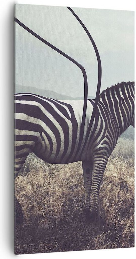 Bild auf Leinwand - Leinwandbild - Zebra Tier Wiese - 65x120cm - Wand Bild - Wanddeko - Wandbilder - Leinwanddruck - Bilder - Kunstdruck - Wanddeko...