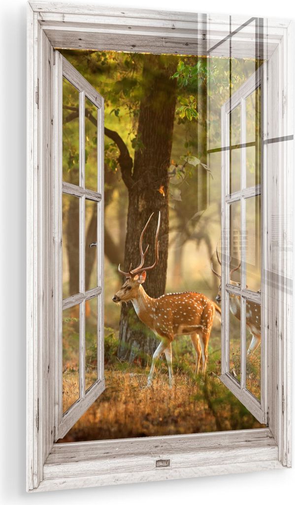 MuchoWow Glasbilder - Bilder auf Wandbild - Foto auf Glas Hirsche - Wald - Herbst - Waldtiere - Natur - Hirsche - Durchschauen 40x60 cm Wanddekorat...