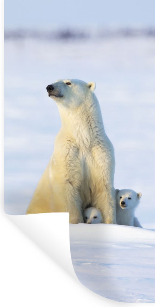 MuchoWow Wandtattoo Wandsticker Wandaufkleber Eisbär - Schnee - Jungtiere 60x120 cm Selbstklebend und Repositionierbar - Selbstklebend - Fototap...