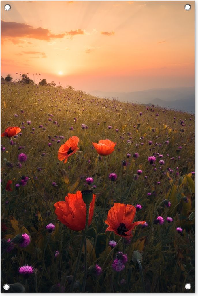 MuchoWow 60x90 cm Outdoor-Poster Gartendeko Sichtschutz Garten Poster für den Garten Blumenfeld - Gras - Pflanzen - Sonnenuntergang - Orange