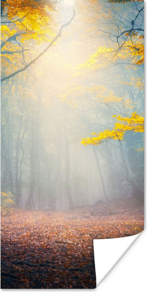 MuchoWow Poster Wald - Nebel - Herbst 60x120 cm - Wandschmuck