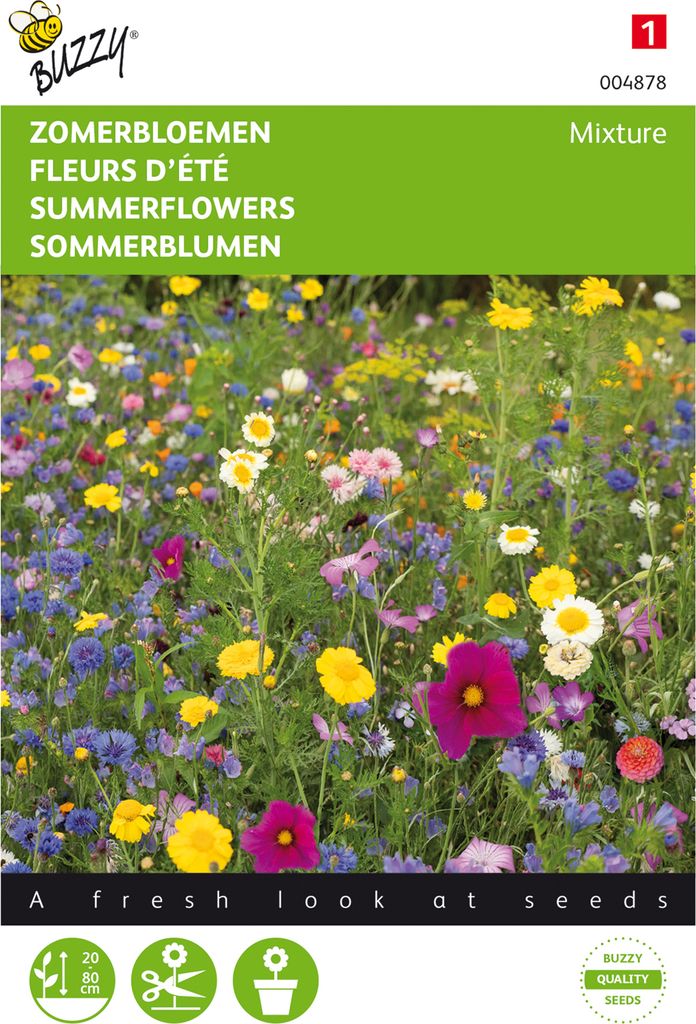 Sommerblumen Mischung | Blumensamenmischung von Buzzy Seeds