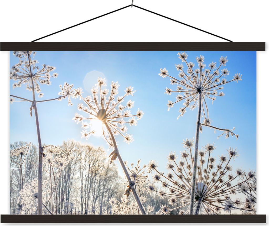 MuchoWow Textilposter Pflanzen - Schnee - Stilleben 90x60 cm mit schwarzem Rahmen - Aufhängungssatz