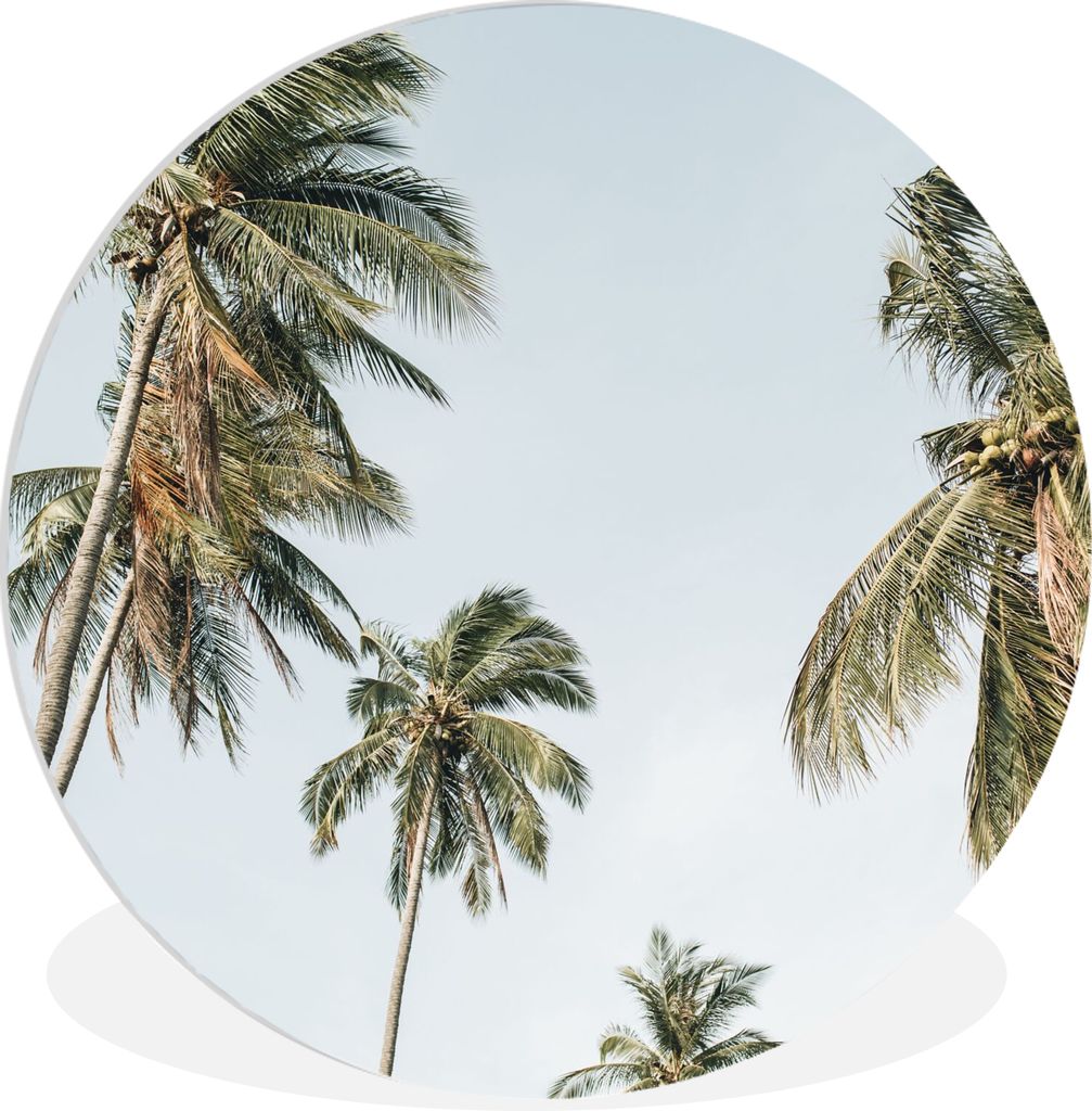 MuchoWow Rundes Wandbild - Runde Bilder Palmen - Sommer - Tropisch Ø 60 cm Kreis Wanddekoration Kunststoff - Wandkreis - Wandschmuck - Wand Krei...