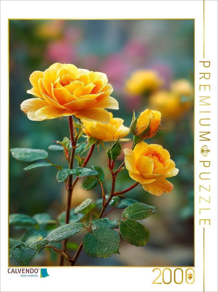 CALVENDO Puzzle Gelbe Rosen blühend im Frühlingsgarten | 2000 Teile Lege-Größe 90x67cm Foto-Puzzle für glückliche Stunden
