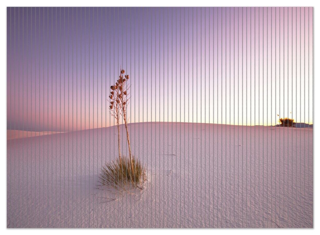 Wallario Duschmatte Antirutschmatte Badmatte Fußmatte Kleine Oase in der Wüste, Größe ca. 90 x 65 cm