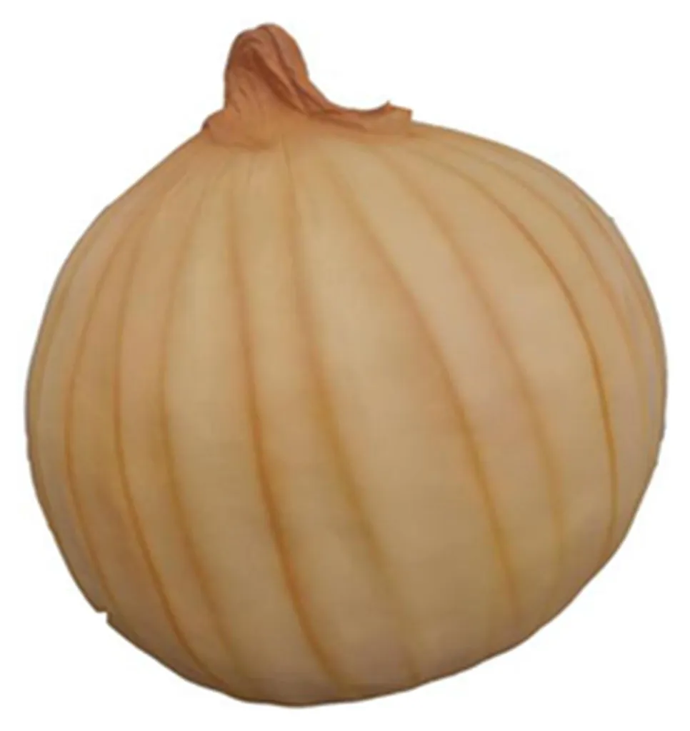 Figurine Légumes XXL 46cm - Statue Haute Qualité pour Déco Vitrine Magasin